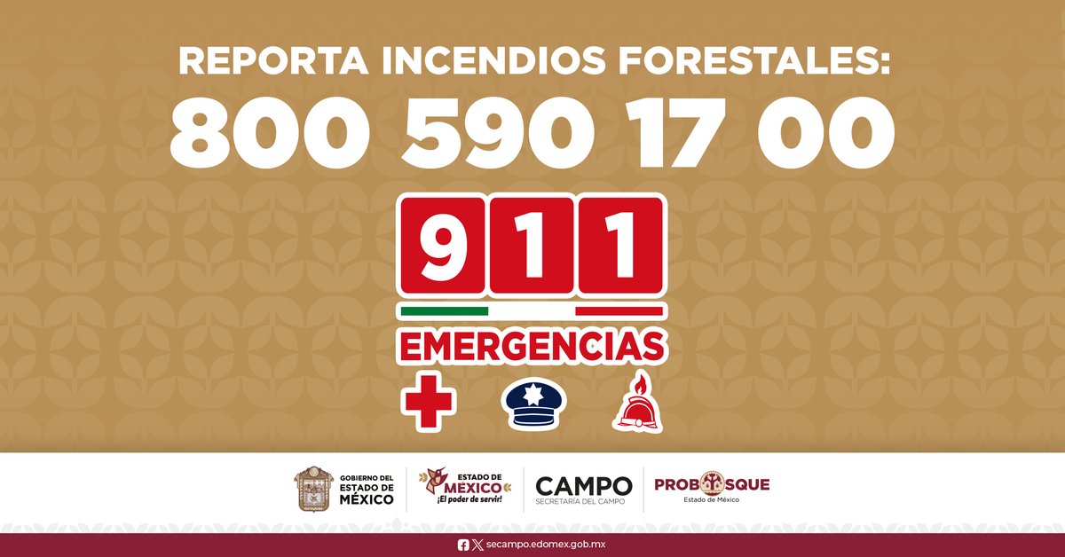 PROBOSQUE tweet media