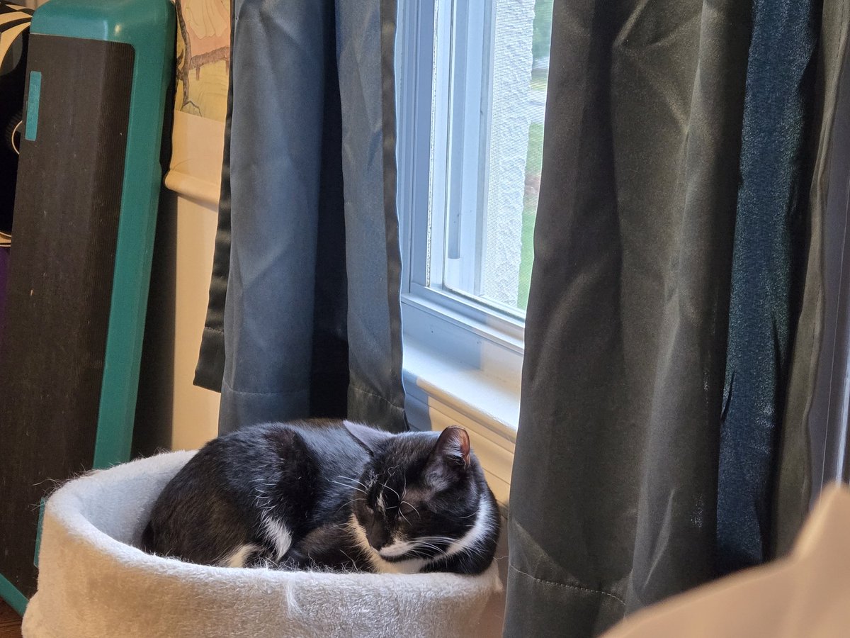 King Mishmish and Prince Simsim tweet media