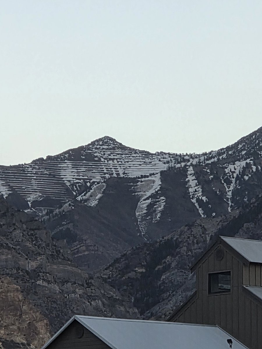 Jason ✨👾SaaStr.Ai✨ Lemkin tweet media