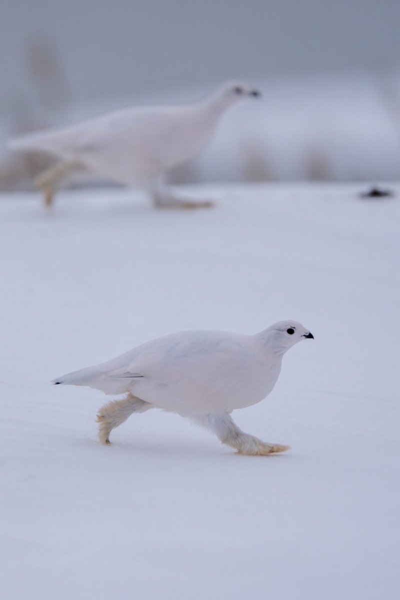 渡辺浩徳/Hironori Watanabe tweet media