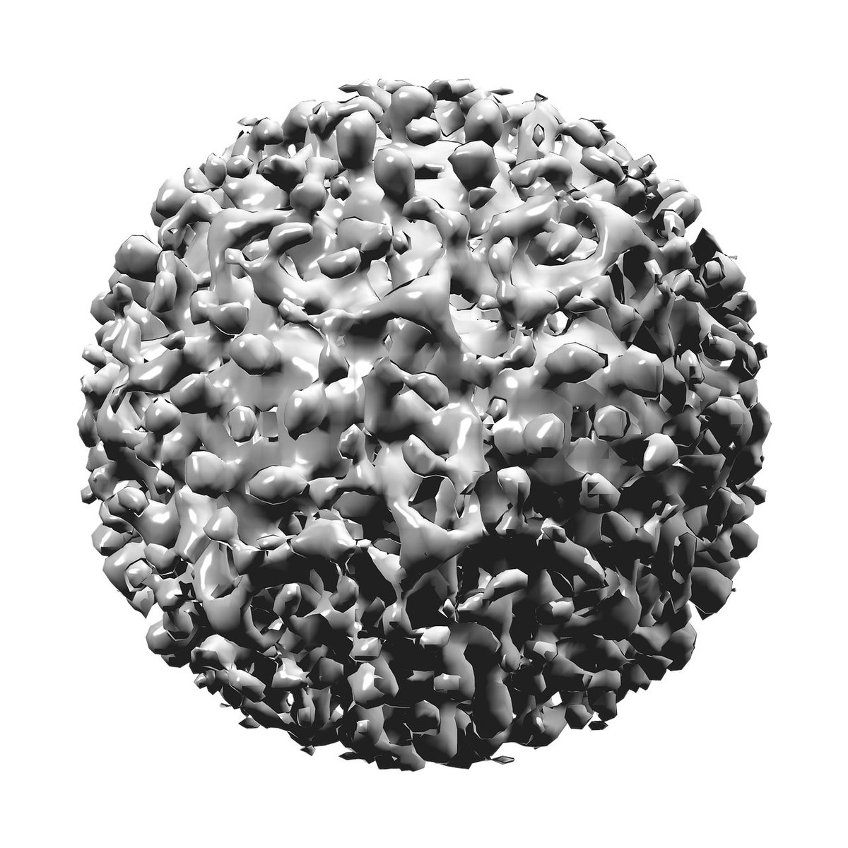 organoidscience's tweet photo. This study established a #hiPSC-derived multilineage hepatic #organoid system that robustly supports the complete Hepatitis B virus life cycle. 🧫
Read about it here: https://t.co/T2Ilec7G2t https://t.co/SfXDxWJJ2Y