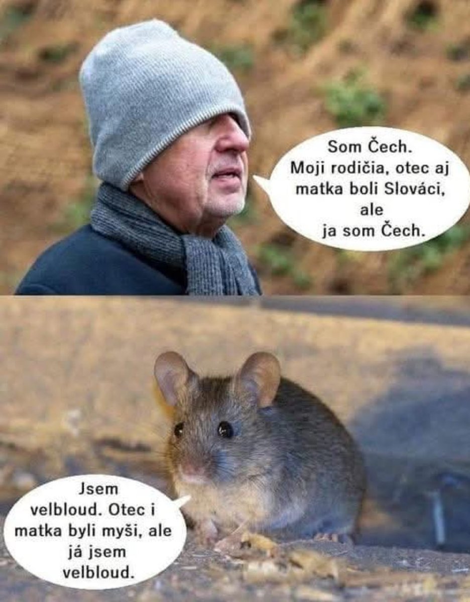 STOP komunismu! tweet media