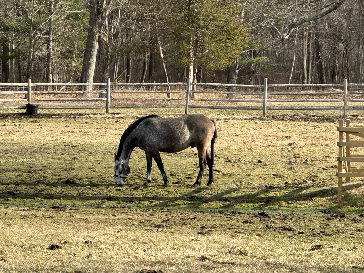 Marc McMullen tweet media