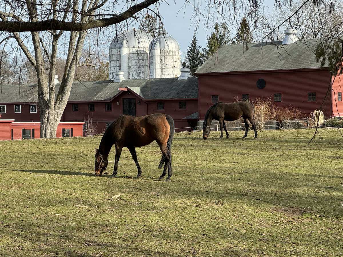 Marc McMullen tweet media