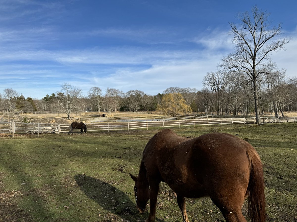 Marc McMullen tweet media