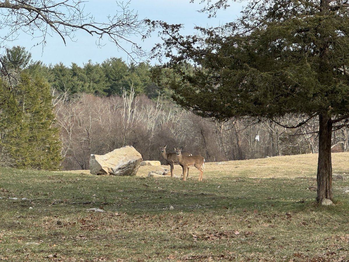 Marc McMullen tweet media