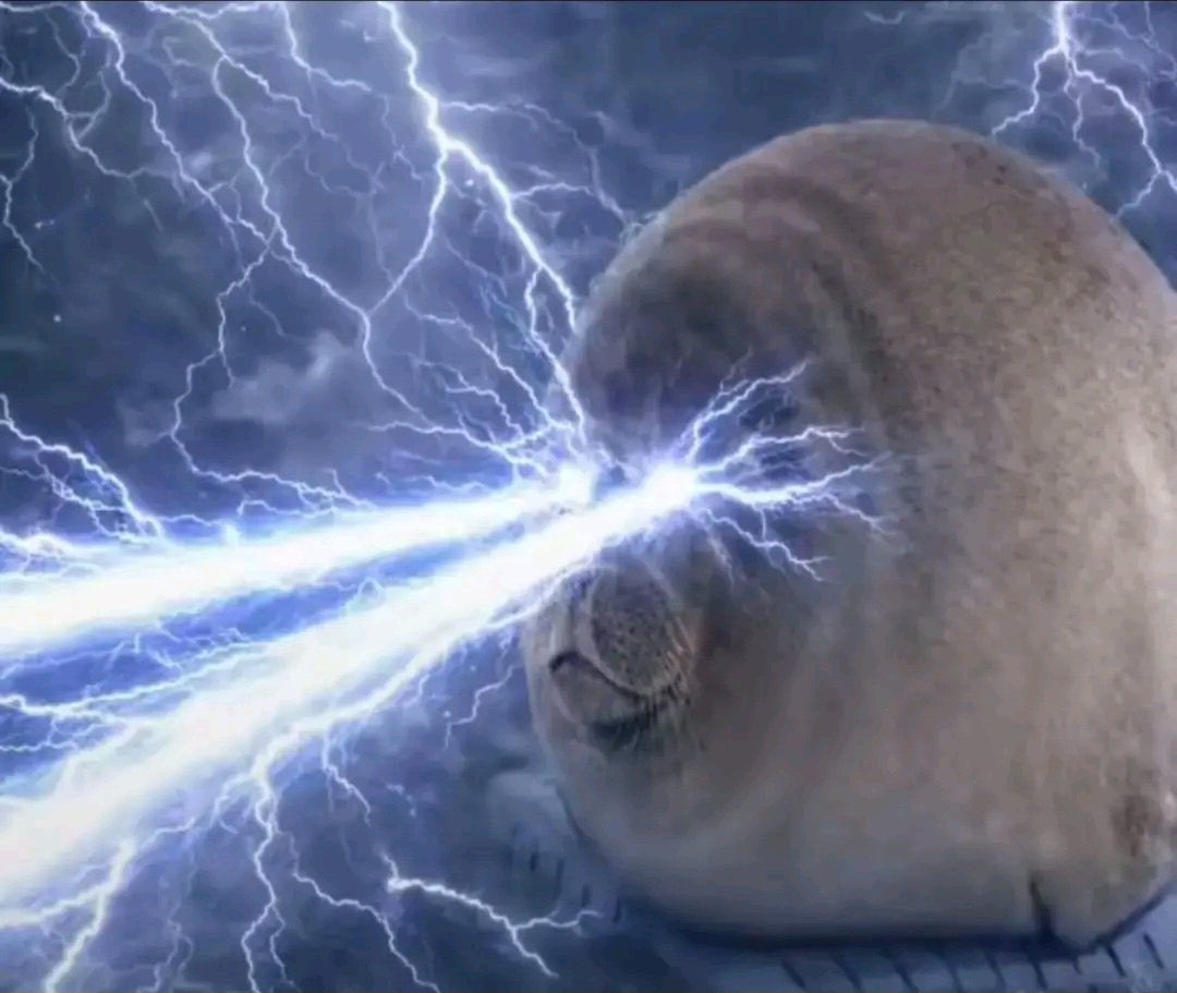 ‍ ‍ ‍ ♱⃓ ‍ ˛ ‍ 𝐋 ┈ ͟⟢ 𝘈𝗠B’𝚂̲ ‍ ╱ ‍ SW⌖͟ RD tweet media