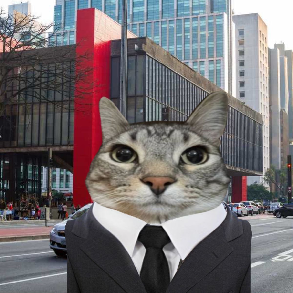 moustache man tweet media