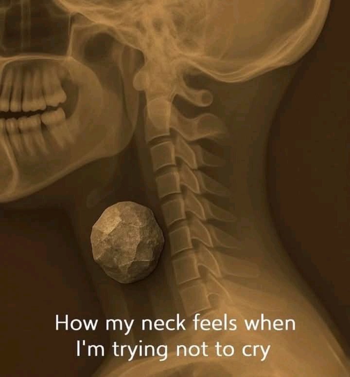 wtffrio's tweet photo. why is this so accurate 😭 https://t.co/CIxEuISG9e