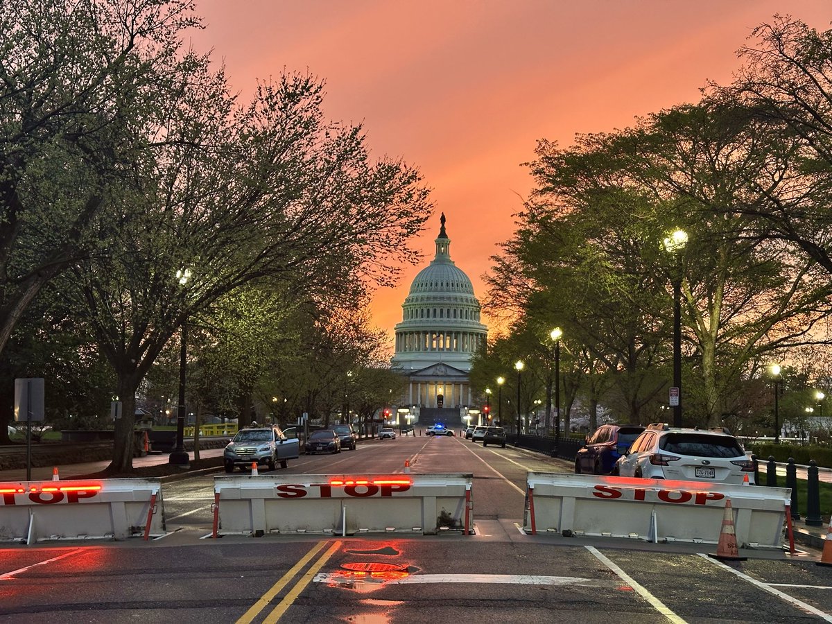 Maureen Cohen Harrington tweet media