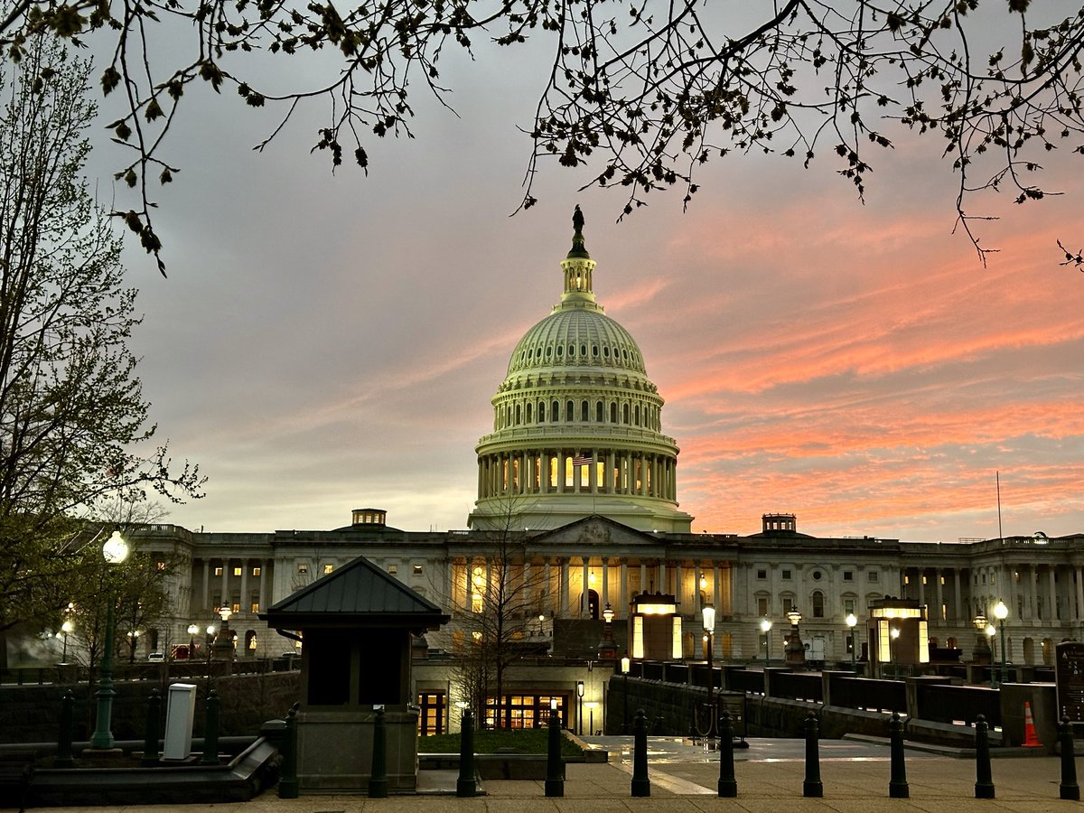 Maureen Cohen Harrington tweet media