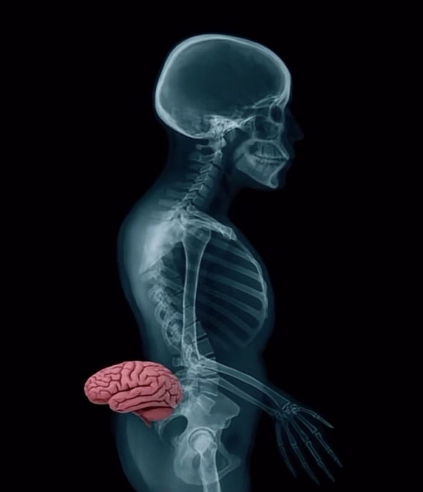 K 9 RT ☈ tweet media