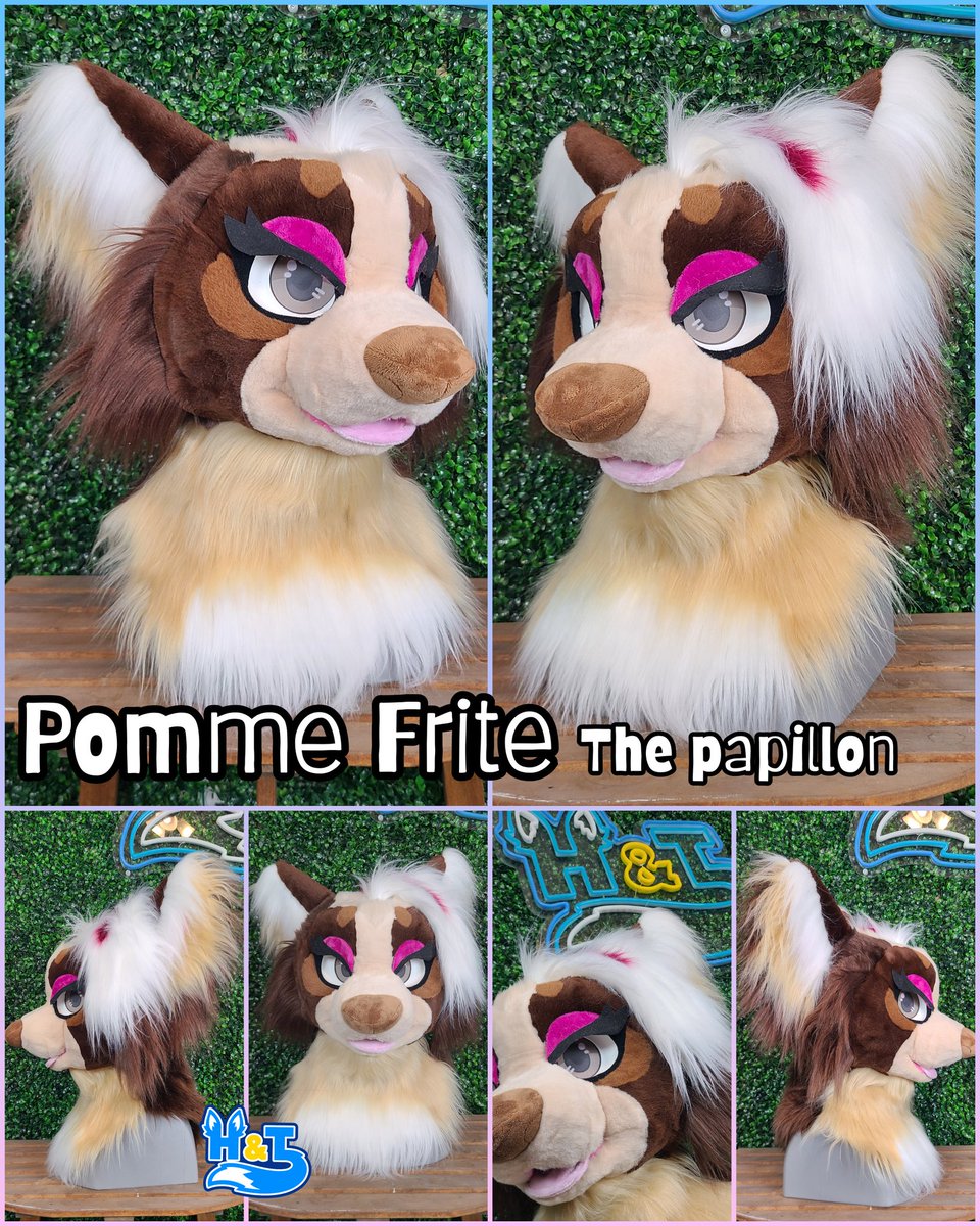 Heads & Tails Studios tweet media