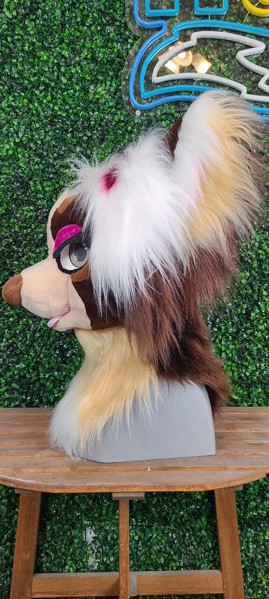 Heads & Tails Studios tweet media