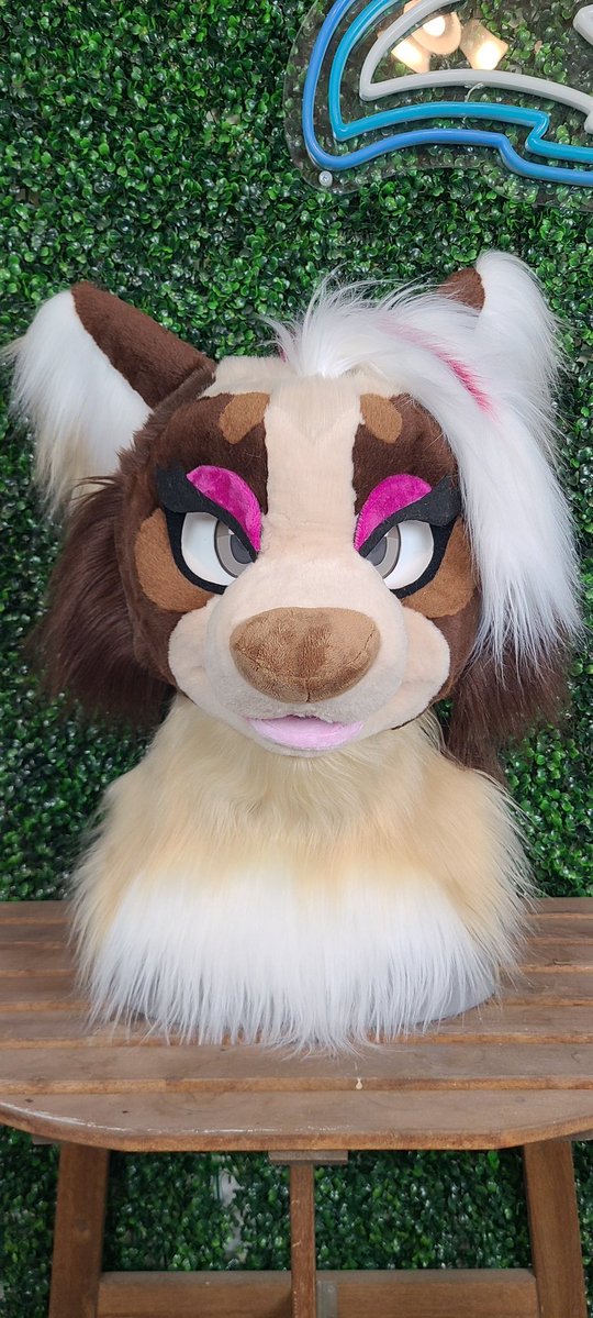 Heads & Tails Studios tweet media