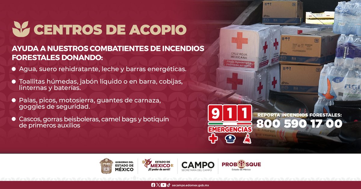 PROBOSQUE tweet media