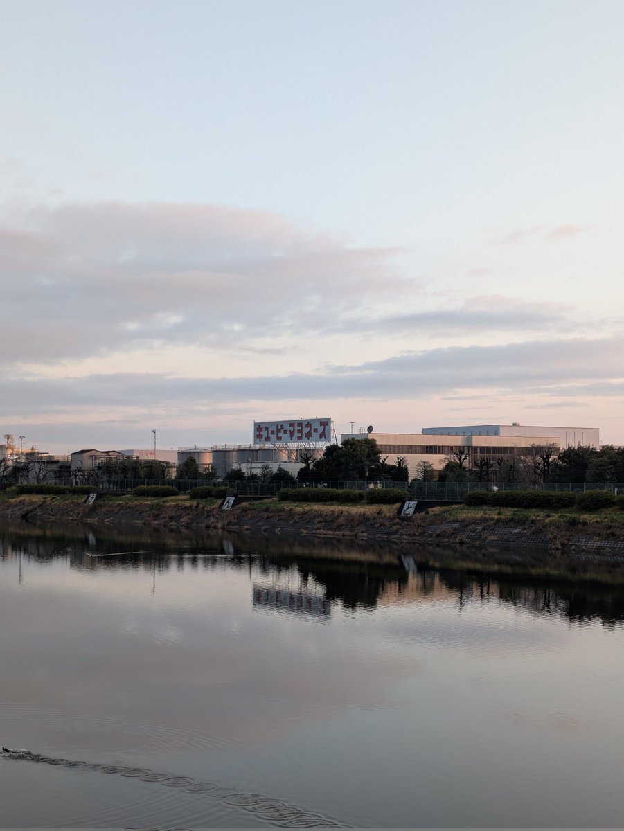 タソル@釣り専 tweet media