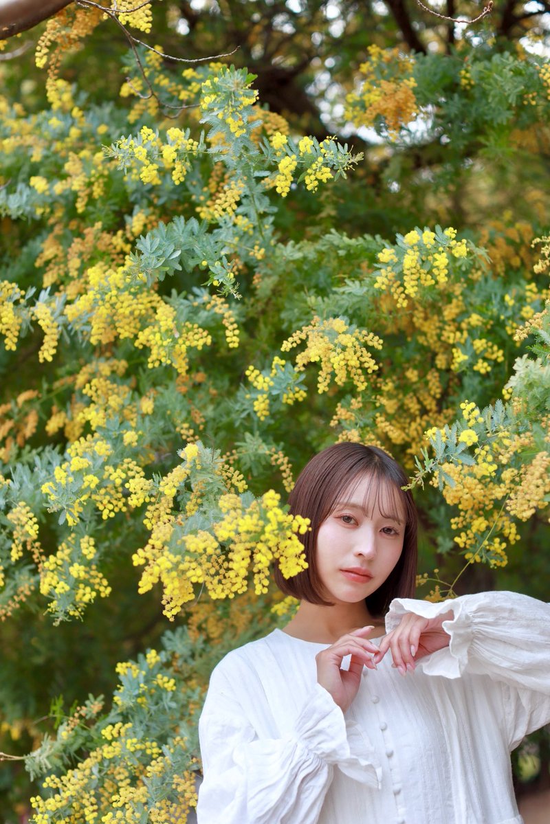 月森あすか tweet media