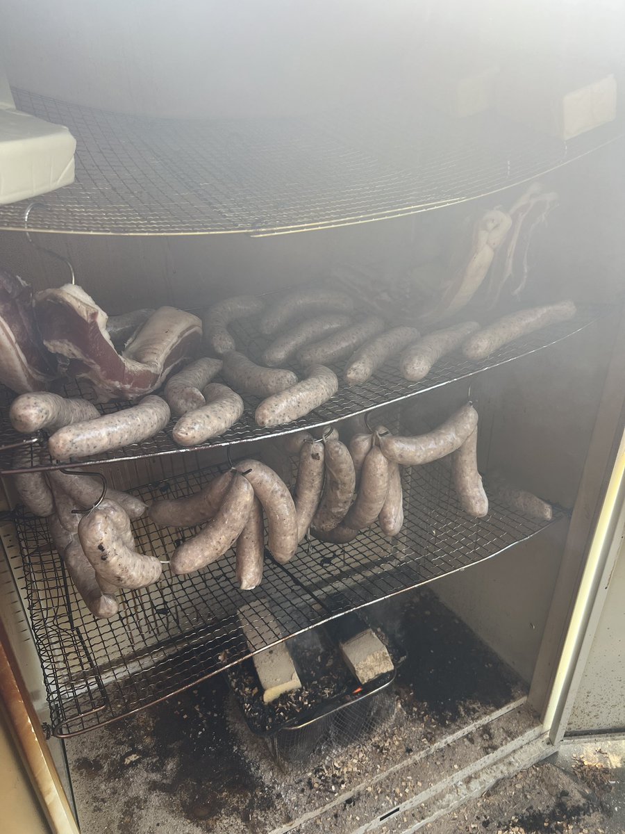 大学院生個人事業主なった　QUINT®︎ tweet media