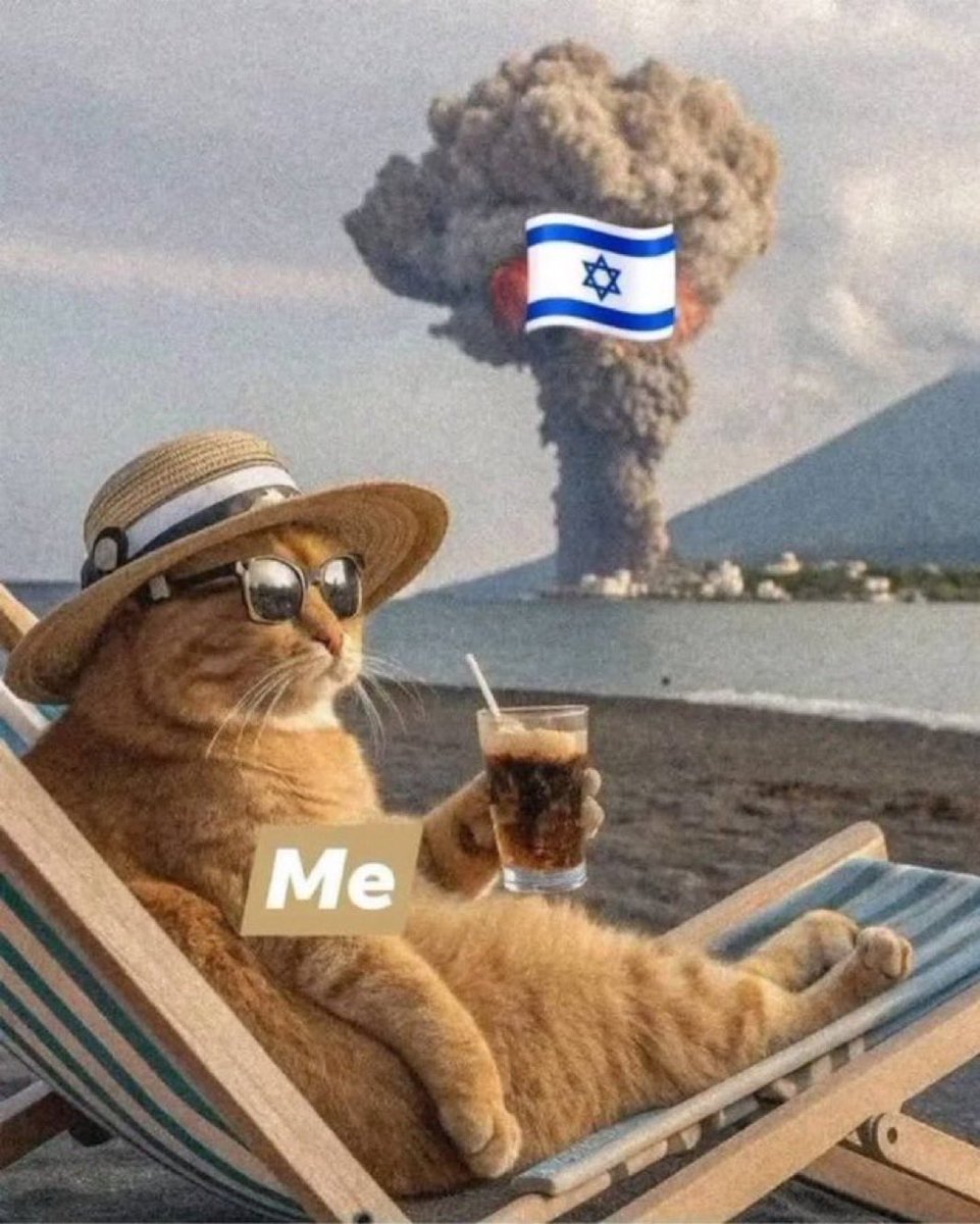 Dillird Q Thurman 🇵🇸 🔻 tweet media