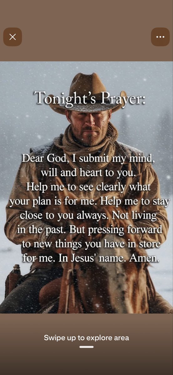 Primrose tweet media