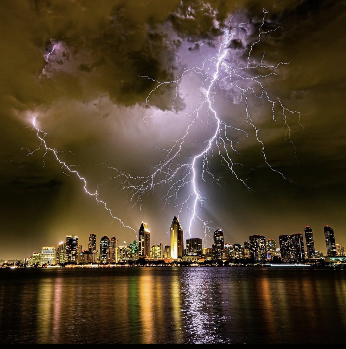 Armando Ayala tweet media