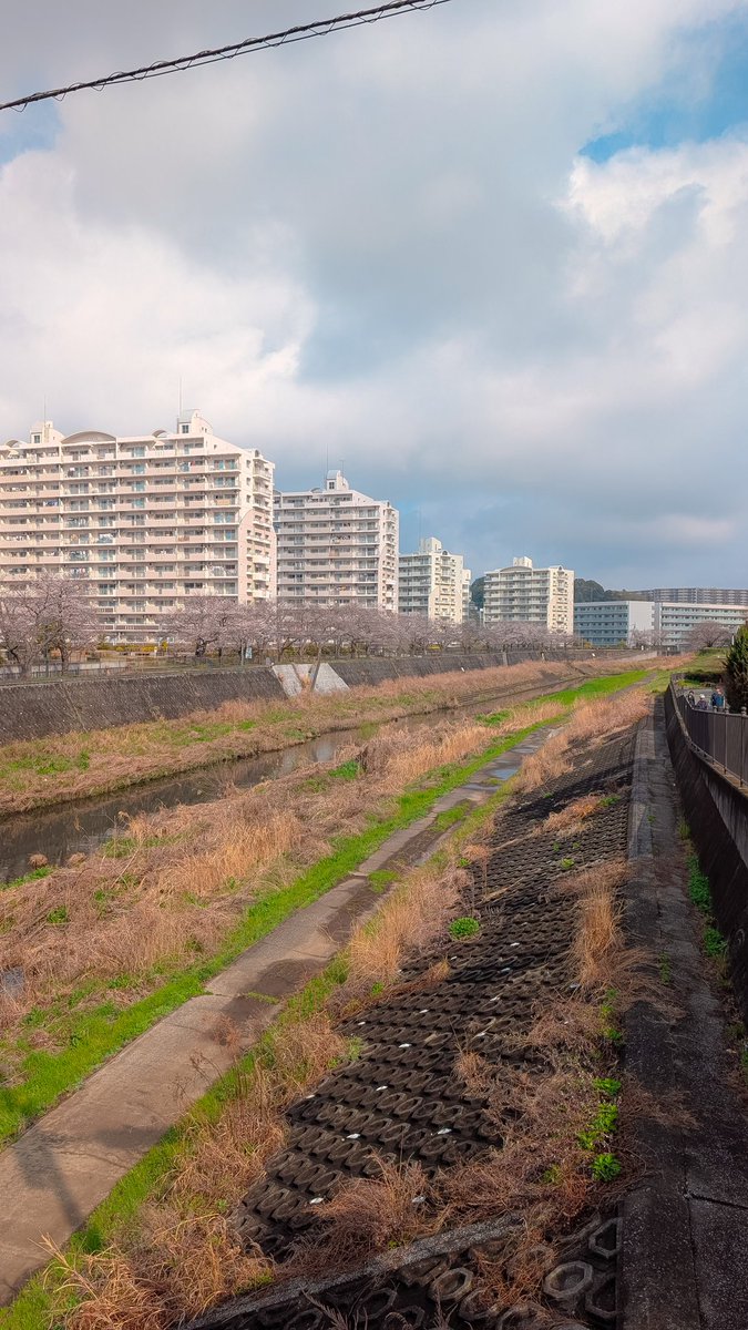 MaximusOP tweet media