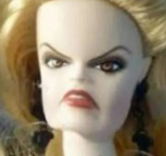 Camila Hammerschmidt tweet media