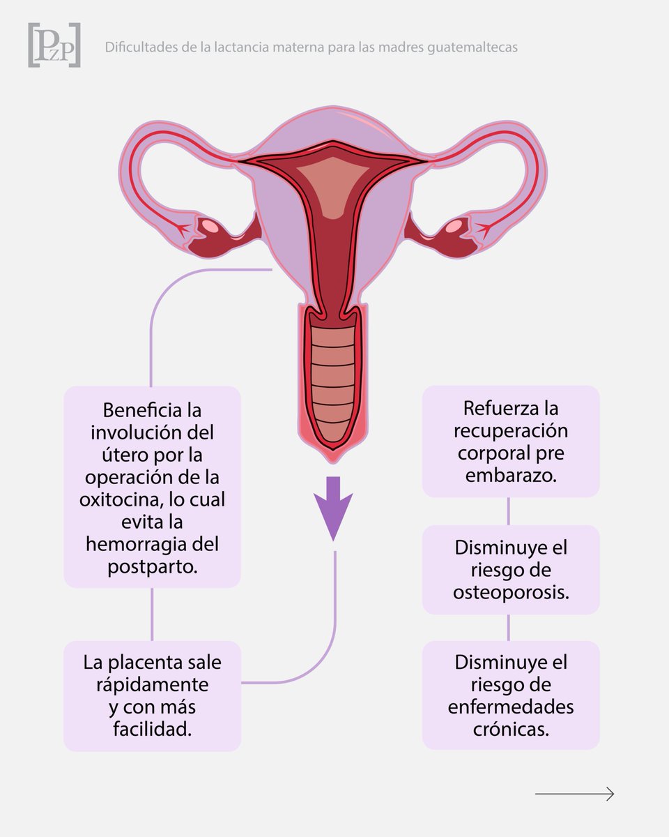 Plaza Pública tweet media