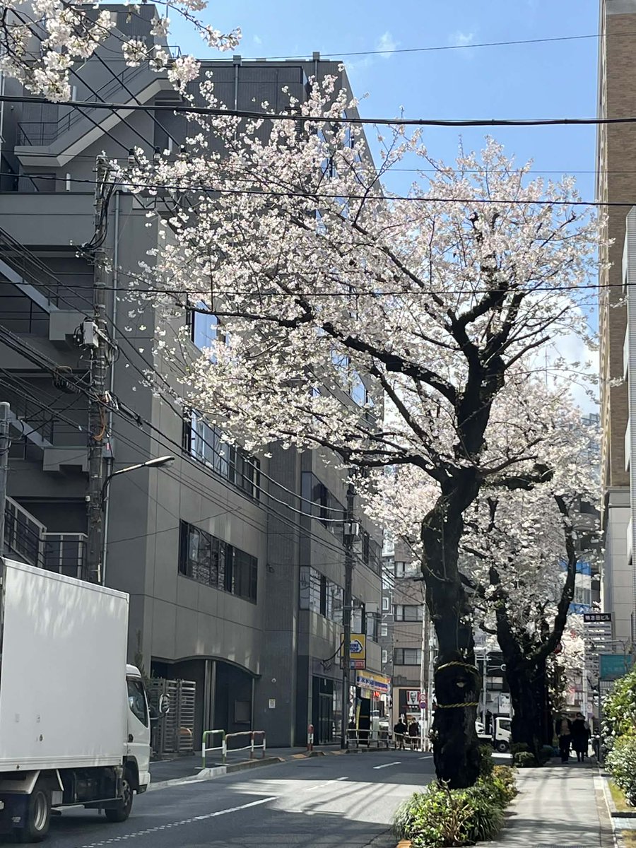 takeya-kodama（地酒屋こだま） tweet media