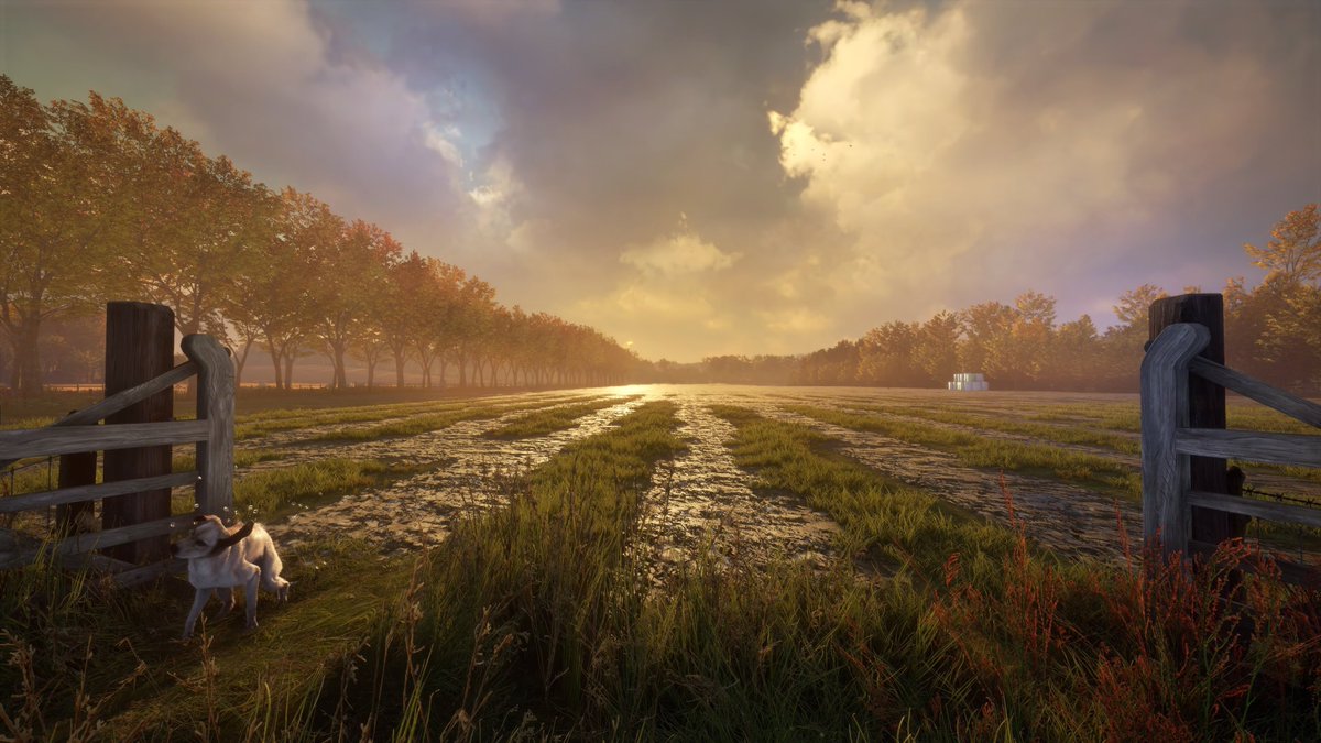 🌩️ NVIDIA GeForce NOW tweet media