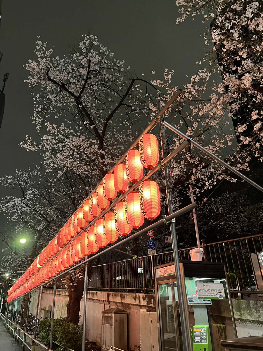 takeya-kodama（地酒屋こだま） tweet media