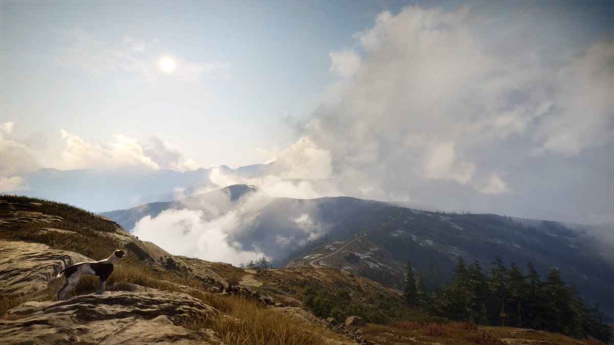 🌩️ NVIDIA GeForce NOW tweet media