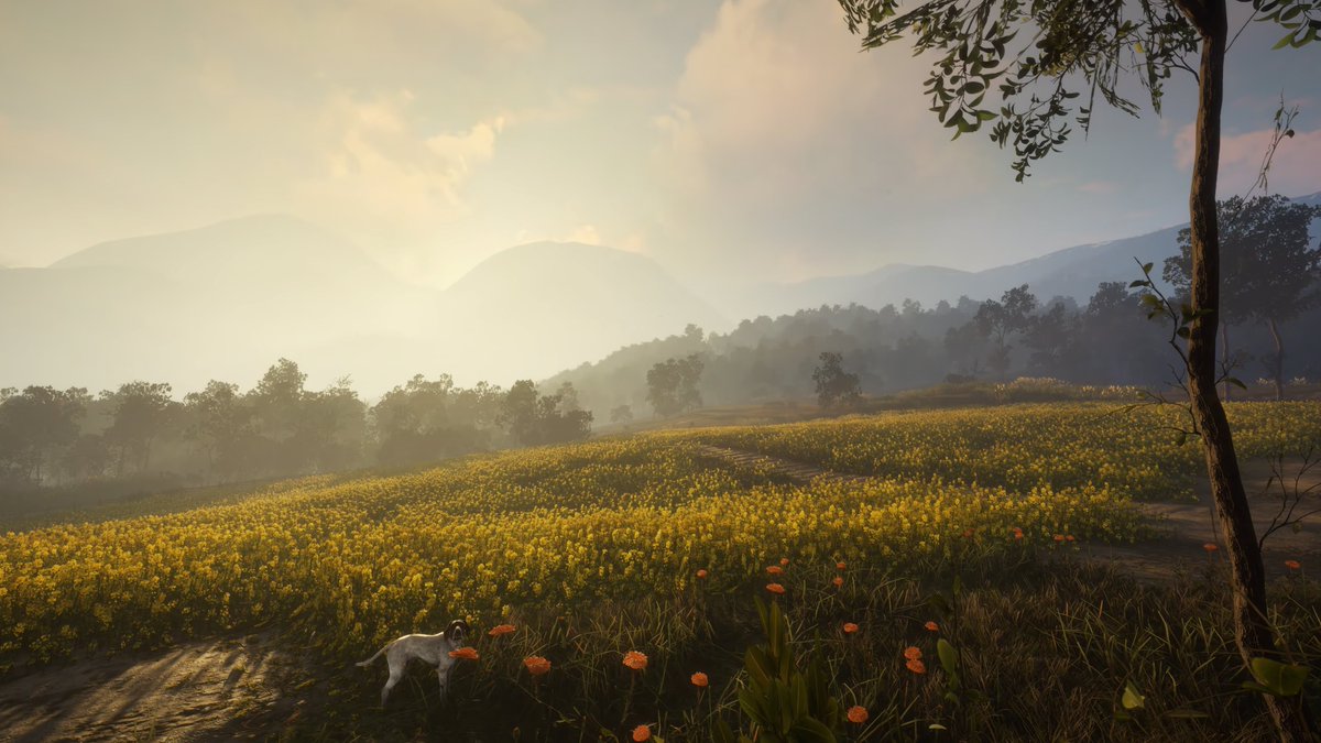 🌩️ NVIDIA GeForce NOW tweet media