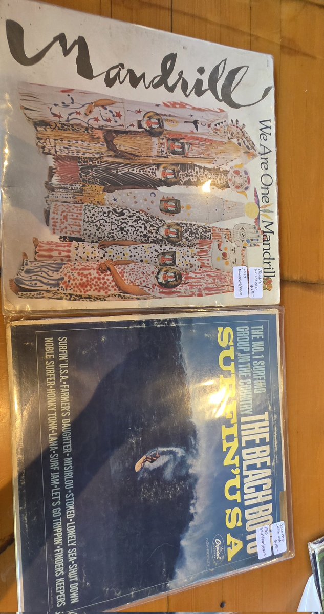 insecapid🏄‍♂️🦮 tweet media