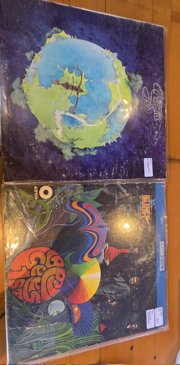 insecapid🏄‍♂️🦮 tweet media