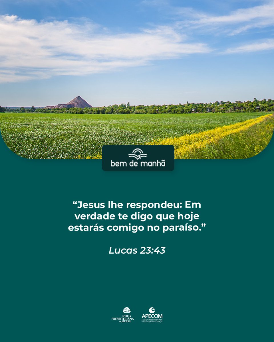 Igreja Presbiteriana tweet media