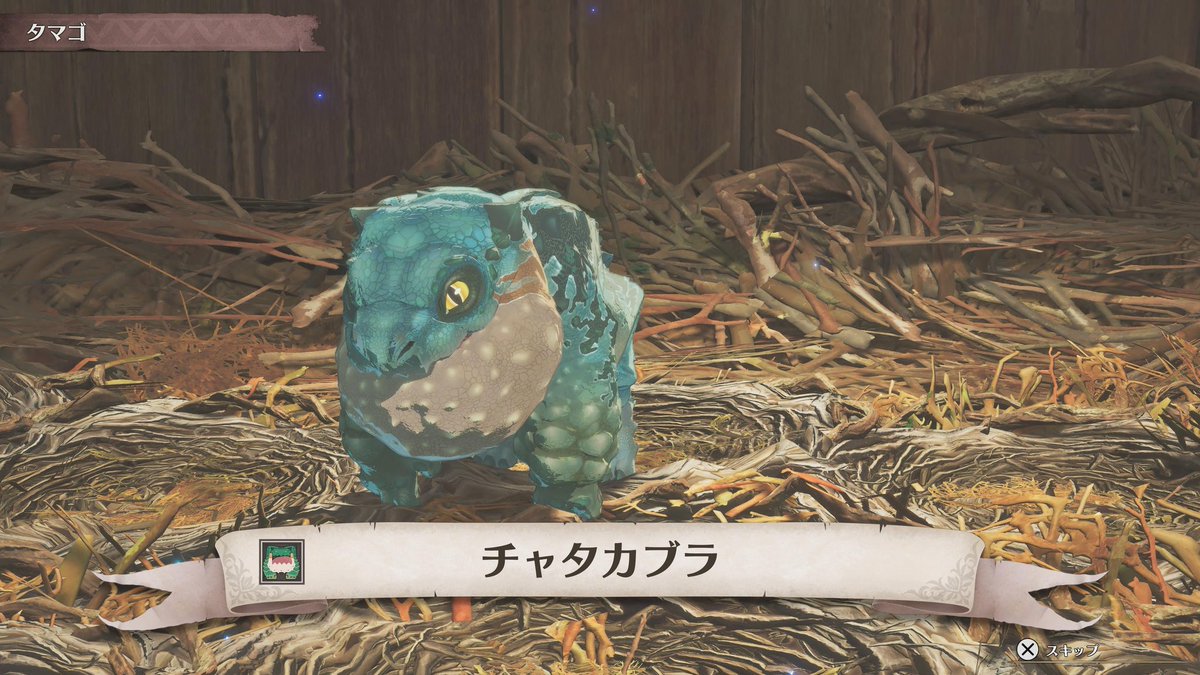 🎭ぱんどら🎭 tweet media