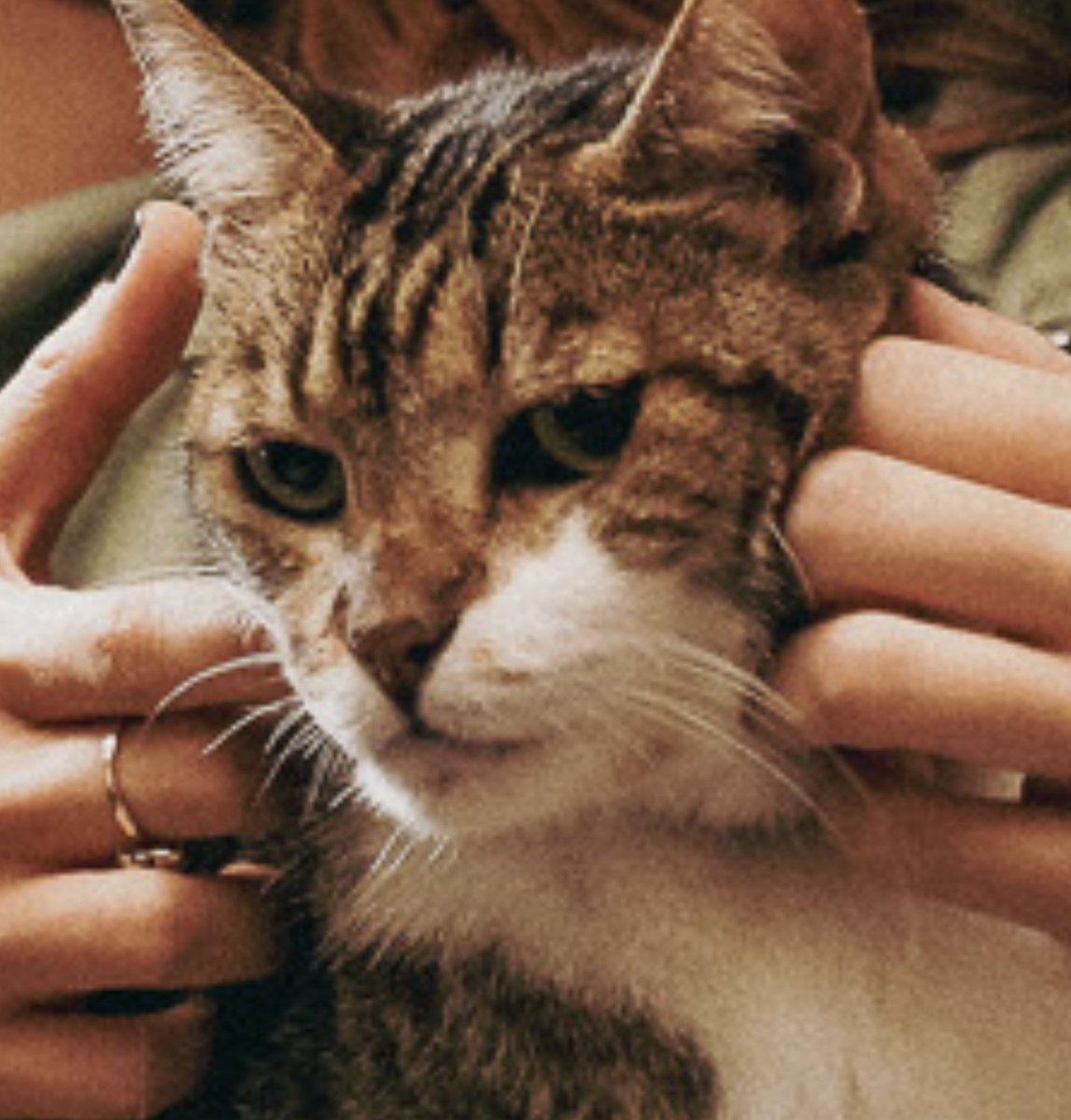 ͏ ͏ ͏ ͏ ͏ ͏ ͏ ͏ ͏ ͏ ͏ ͏ ͏ tweet media