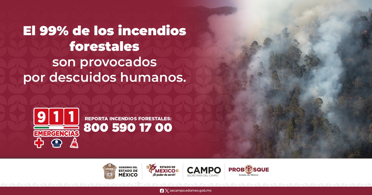 PROBOSQUE tweet media