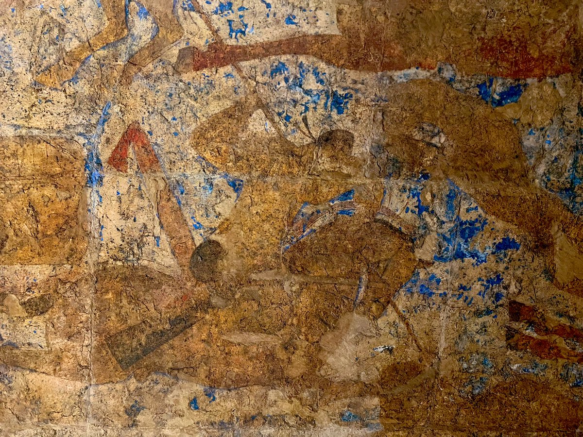 Sou_curator tweet media