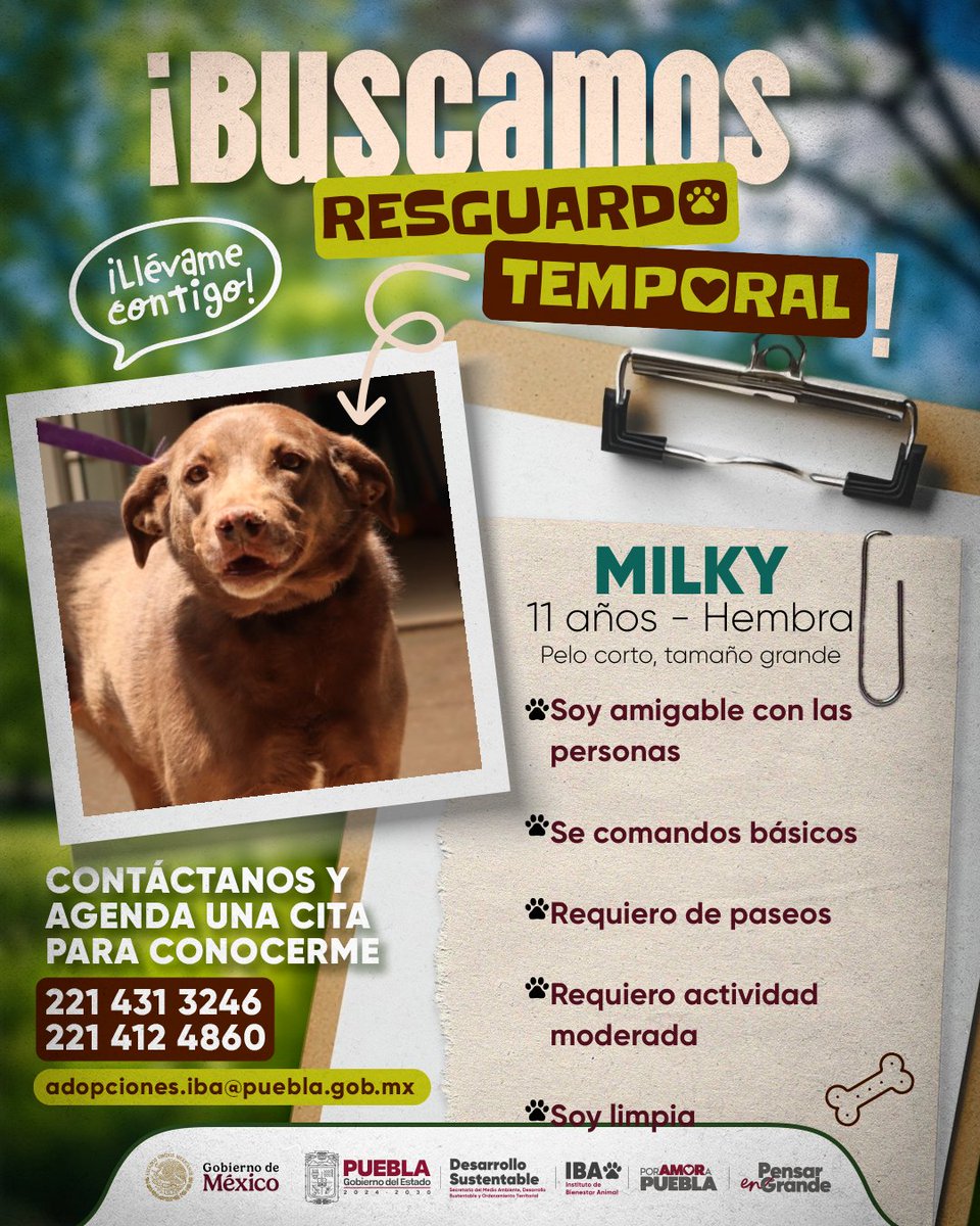 Instituto de Bienestar Animal PUE tweet media