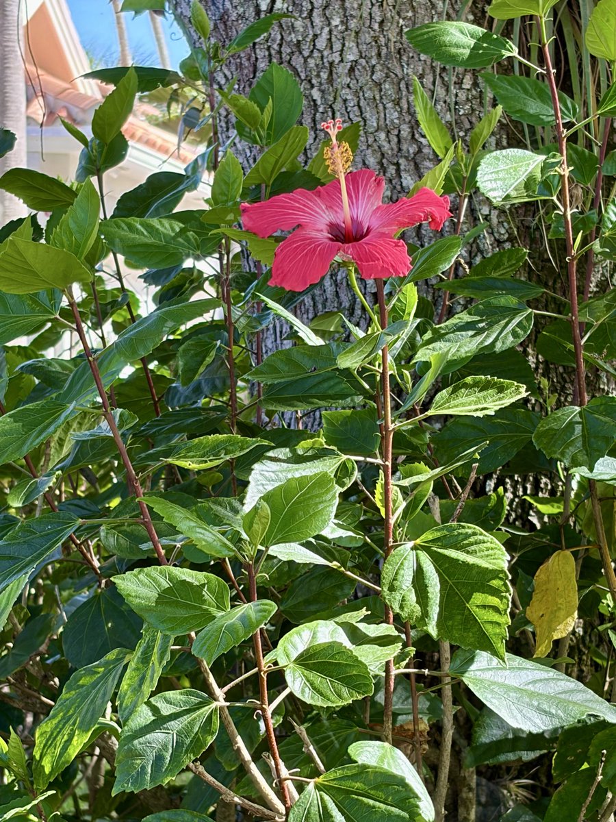 Rtgoddess2 tweet media