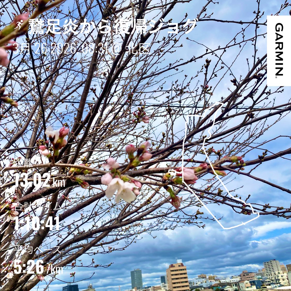 RunTazzo @津山加茂郷🐮→富士登山競走🐮 tweet media