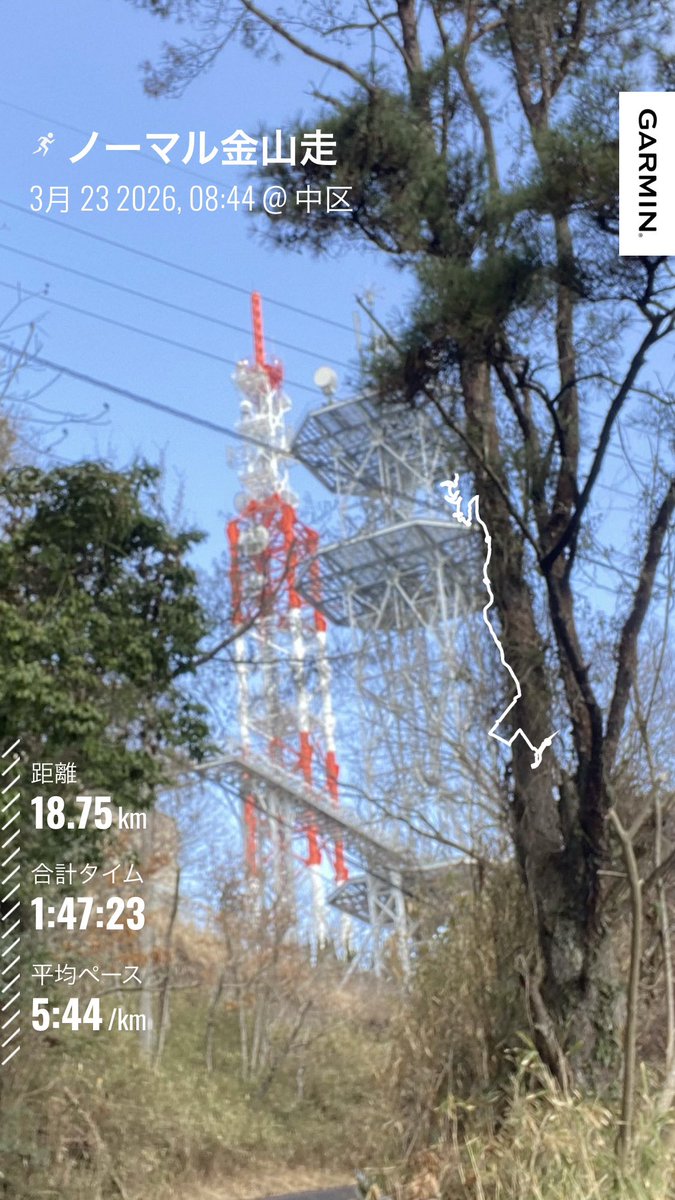 RunTazzo @津山加茂郷🐮→富士登山競走🐮 tweet media