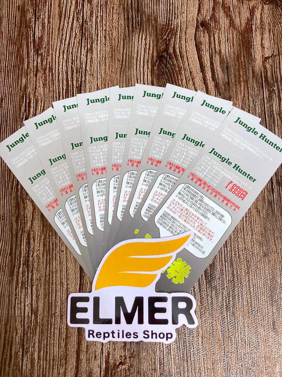 ELMER l エルマー@4/26(日) JH静岡 tweet media