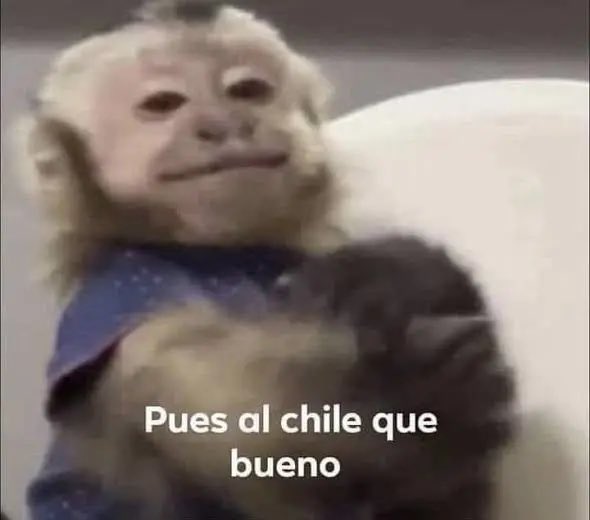 Homero Magio tweet media