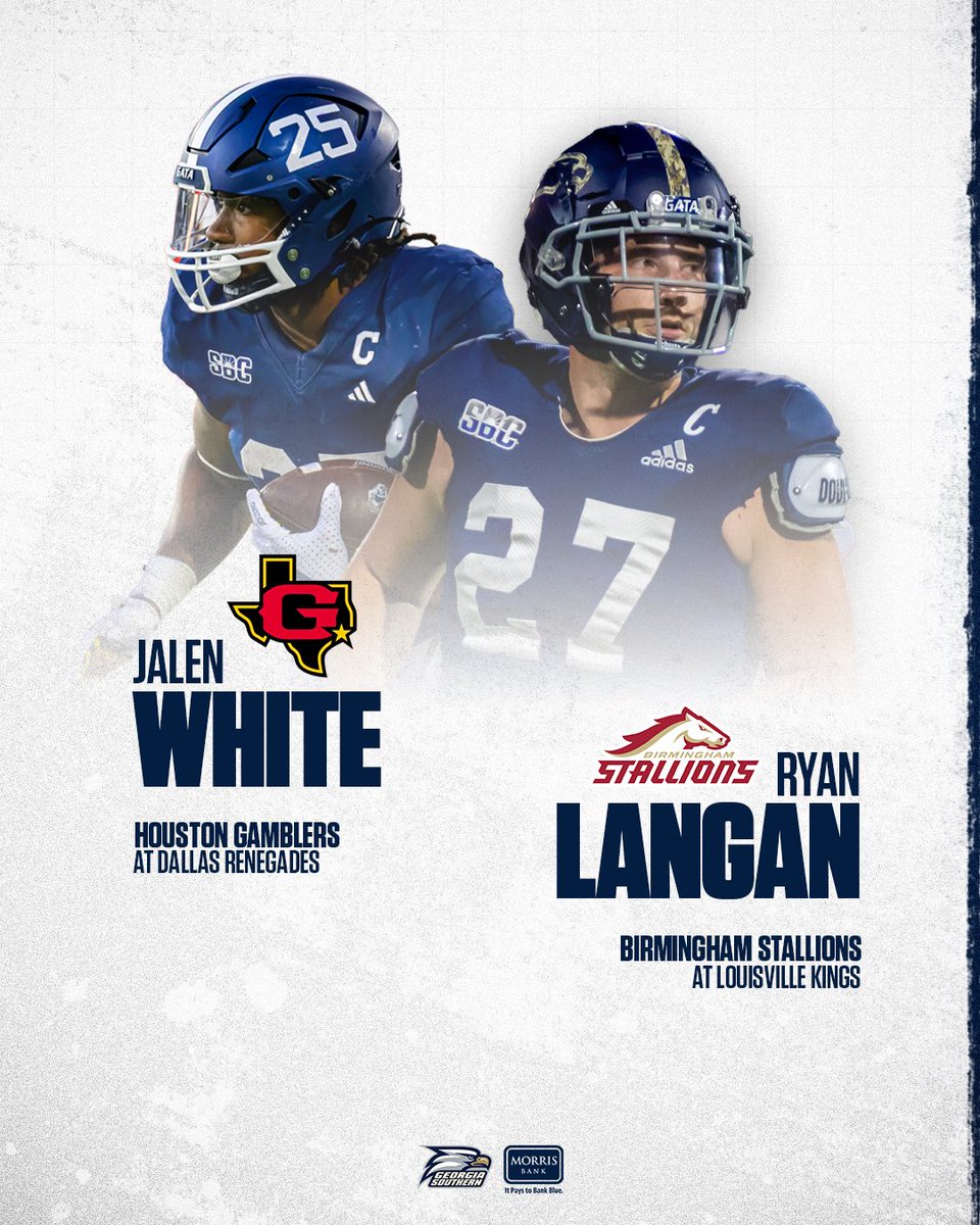 Georgia Southern Football tweet media