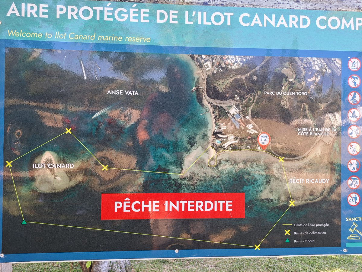 catherine-nouméa tweet media