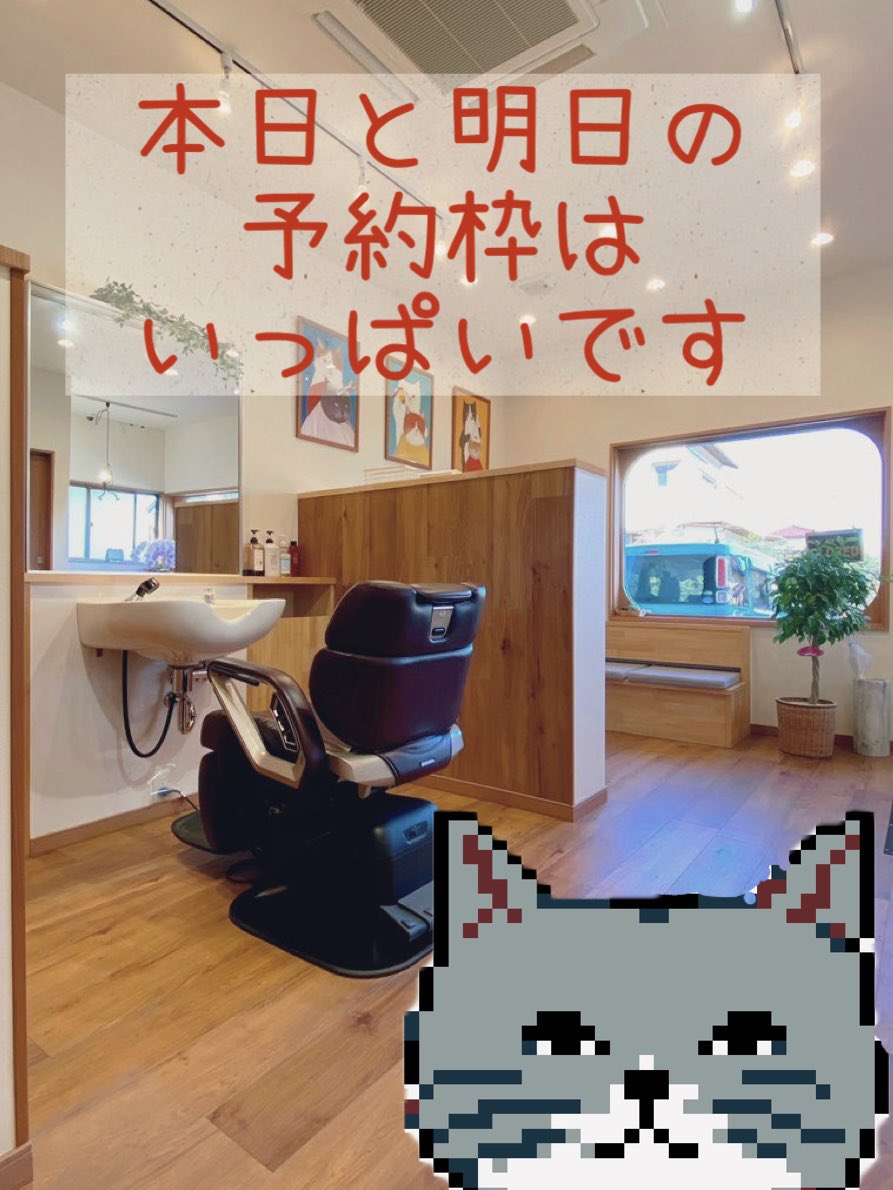 isola BARBER《イソラバーバー》予約優先制 tweet media